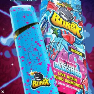 BURST BERRY-BLIZZARD DISPOSABLE 